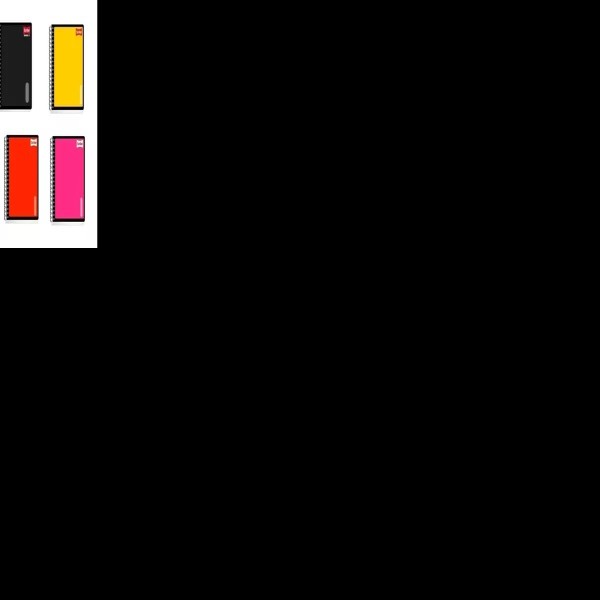 CUADERNO PROF. SERIE III SCRIBE 9650 RAYA ESP. 100H. C.24